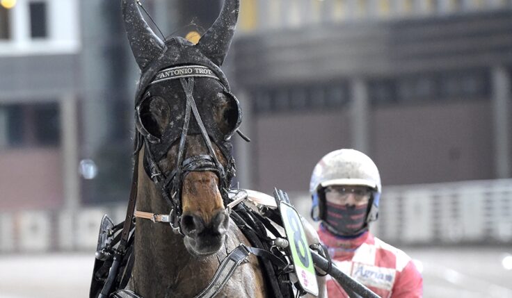 MÅNADENS HÄSTÄGARE &#8211; FEBRUARI 2021