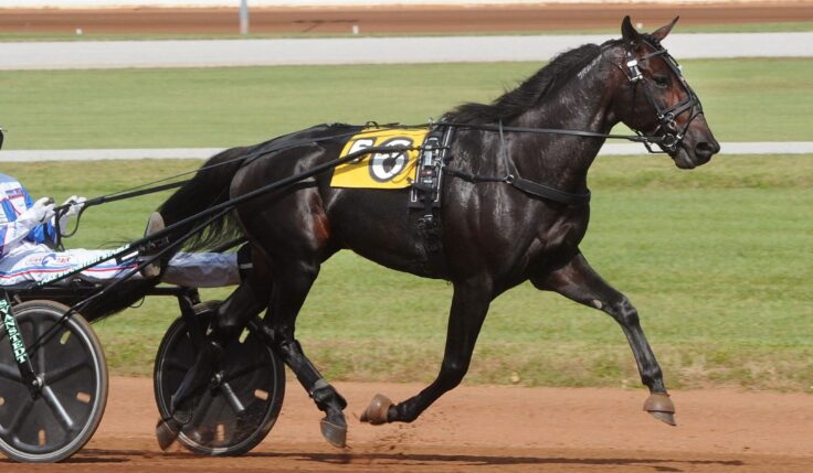 BACK OF THE NECK KLAR FÖR ELITLOPPET 2022