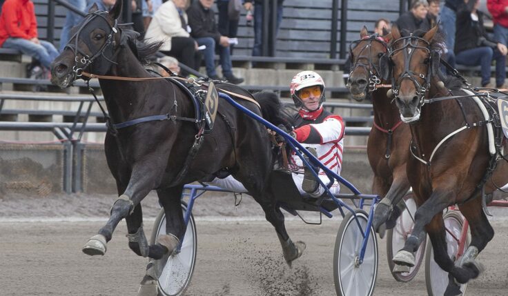 ANDELSTIPSET &#8211; V75