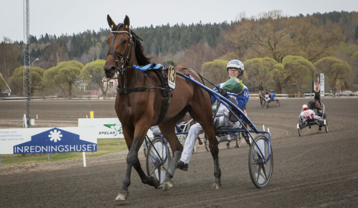 ANDELSTIPSET &#8211; V86