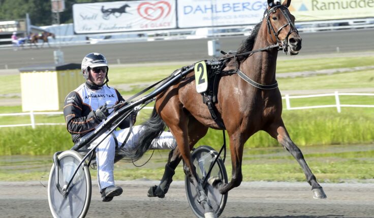 ANDELSTIPSET &#8211; V75
