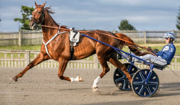 ANDELSTIPSET &#8211; V75