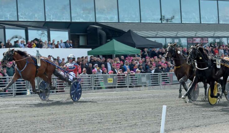 Queer Fish spurtade hem Sweden Cup