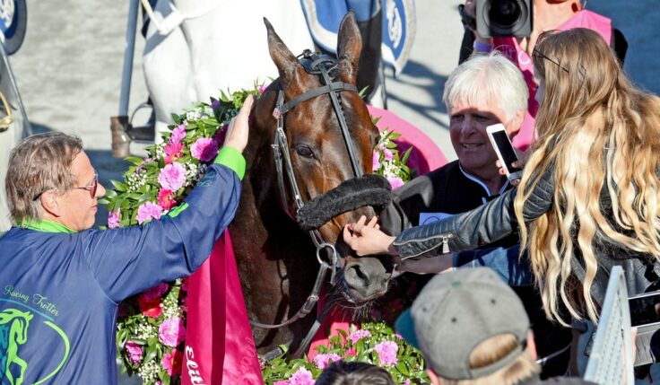 Startlistor och fakta om Elitloppshästarna