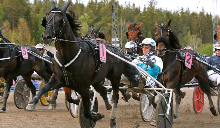 Sorbet klar för Elitloppet &#8211; Redén får med kvartet