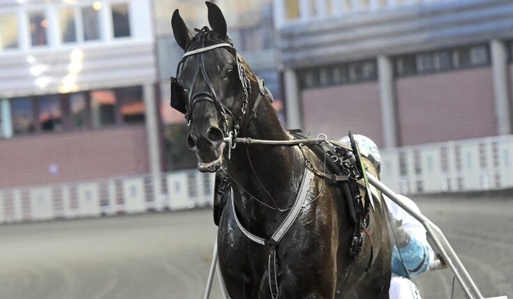 SORBET KLAR FÖR ELITLOPPET 2020