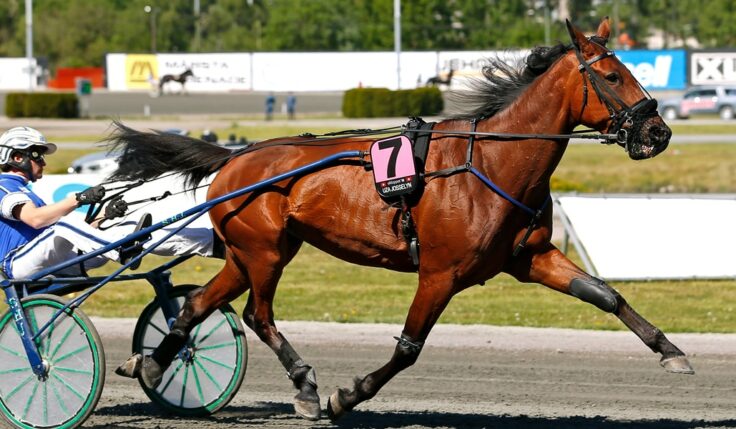 ​Uza Josselyn inbjuden till Elitloppet