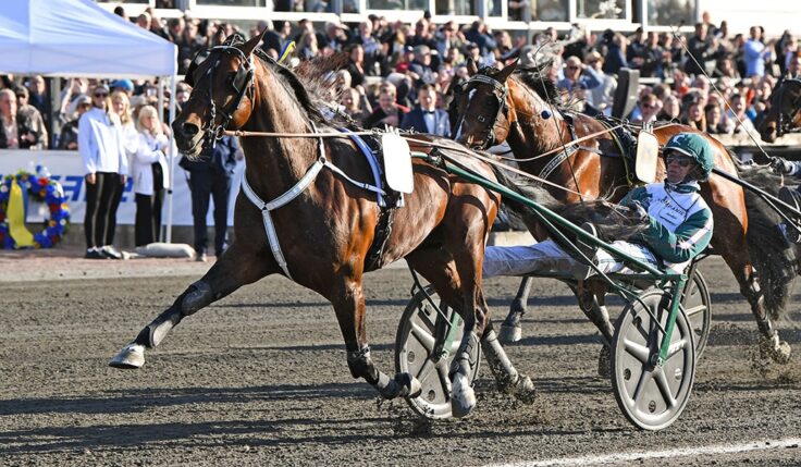 WHO&#8217;S WHO KLAR FÖR ELITLOPPET 2022