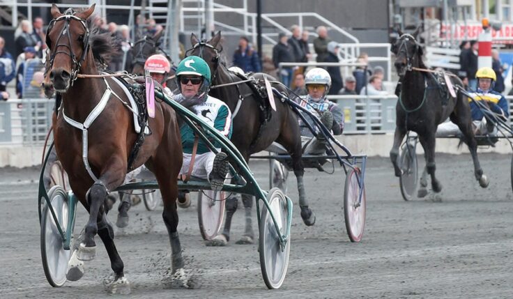 Derbyt nästa för pappas pojke Who&#8217;s Who?