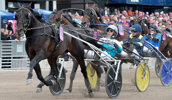 DON FANUCCI ZET KLAR FÖR ELITLOPPET 2023