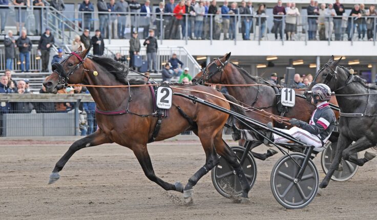 Spåren till UET Grand Prix 14 oktober