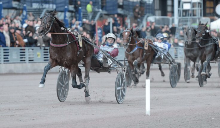 Elitloppsvinnaren tog hem UET Elite Circuit Finale