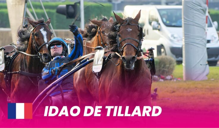 Superstjärnan Idao de Tillard kommer till Elitloppet 2024