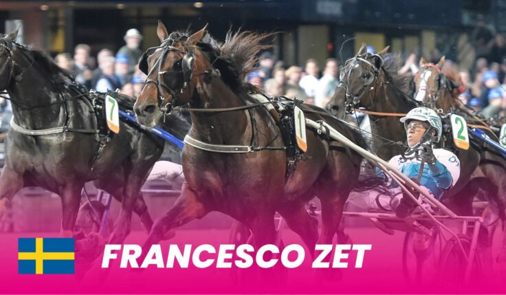 Skötaren chockad! Francesco Zet till Elitloppet 2024