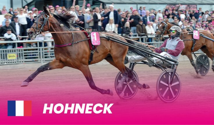 Fjolårsvinnaren Hohneck klar för Elitloppet 2024