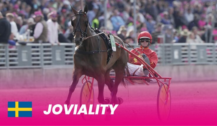 Joviality till Elitloppet 2024