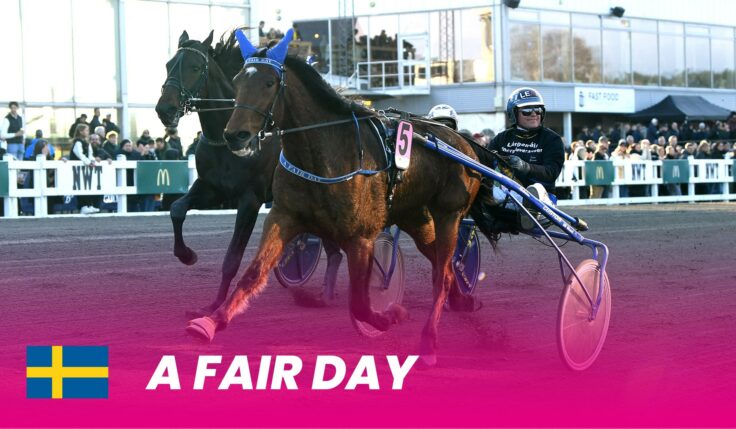 Sagohästen A Fair Day till Elitloppet 2024