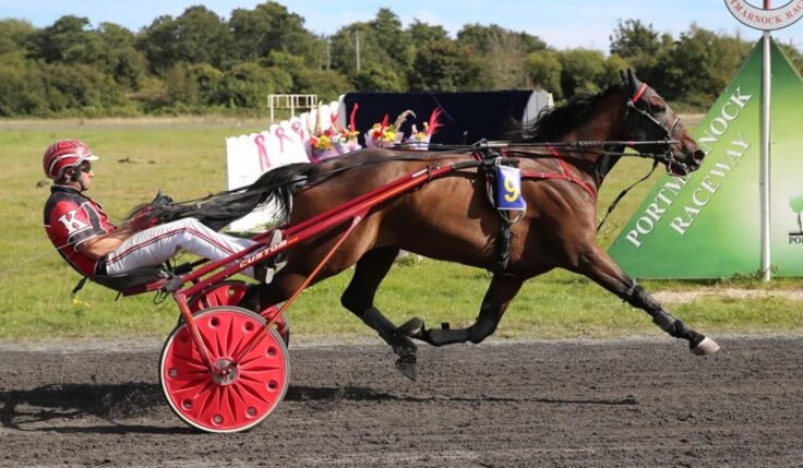 Irländaren Harry Knows klar för Sweden Cup 2024
