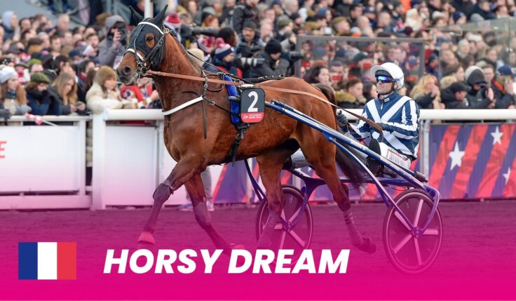 Horsy Dream till Elitloppet 2024
