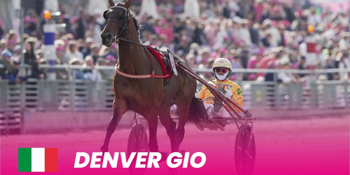 Denver Gio till Elitloppet 2024