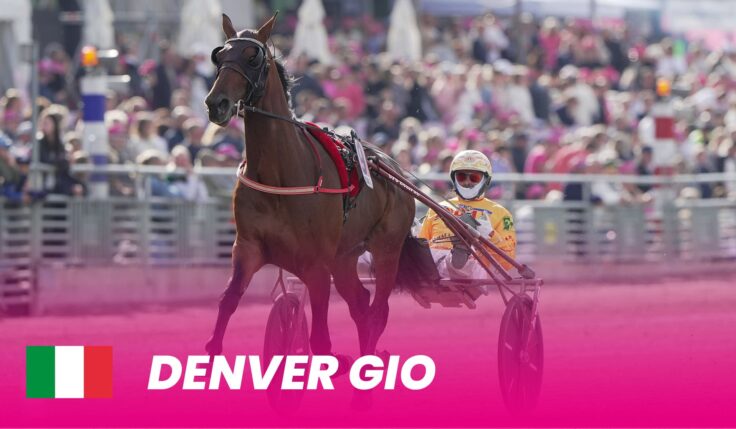 Denver Gio till Elitloppet 2024