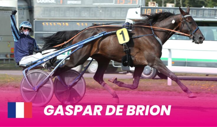 Gaspar de Brion klar för Elitloppet 2024
