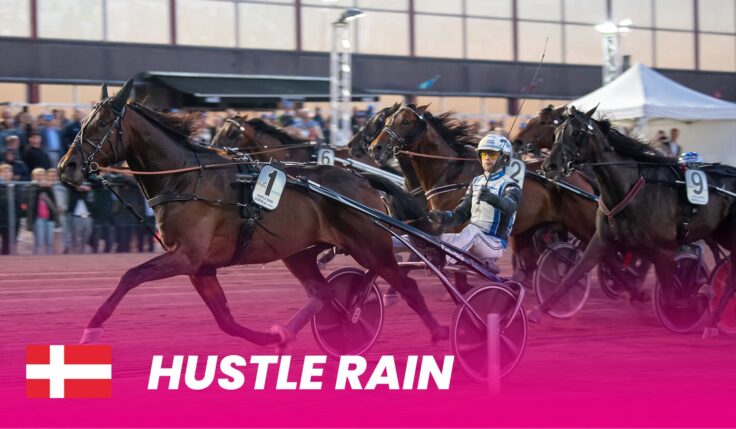 Hustle Rain till Elitloppet 2024