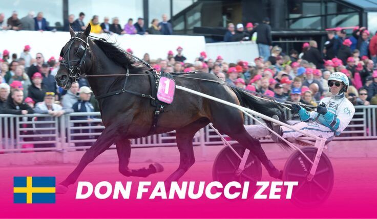 Don Fanucci Zet kvalad och klar för Elitloppet 2024