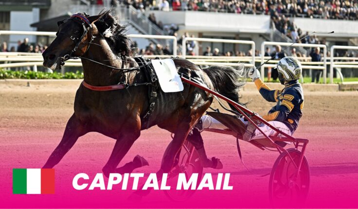 Italienske Capital Mail till Elitloppet