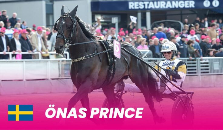 Önas Prince till Elitloppet