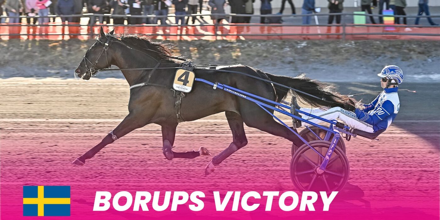 Borups Victory till Elitloppet 2024 efter seger i Guldbjörken