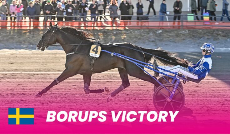 Borups Victory till Elitloppet 2024 efter seger i Guldbjörken
