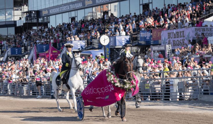 Tidernas Elitloppshelg