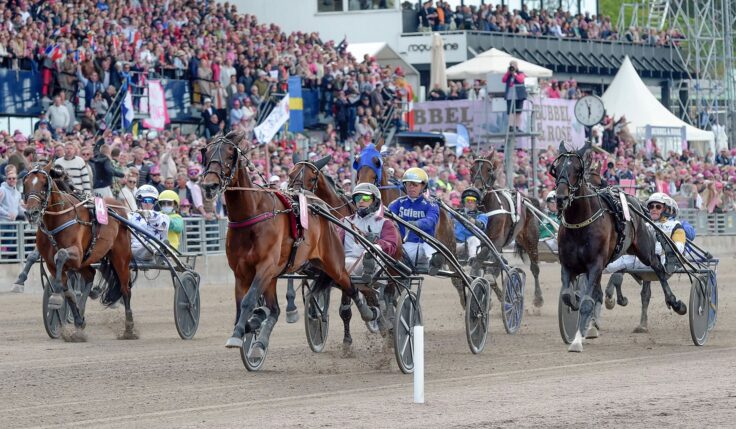 Här är startfältet i Elitloppet 2024