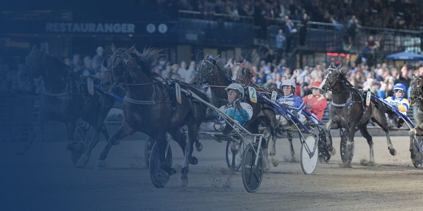 Solvalla söker vd