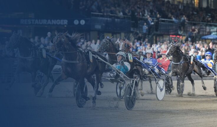 Solvalla söker vd
