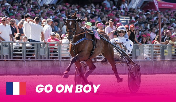 Go On Boy först inbjuden till Elitloppet 2025