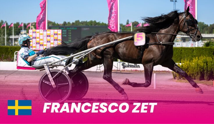 Francesco Zet klar för Elitloppet 2025