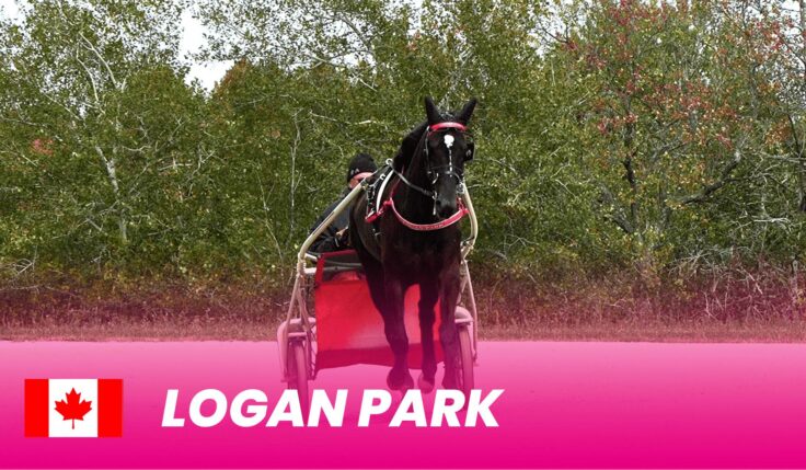 Logan Park till Elitloppet 2025