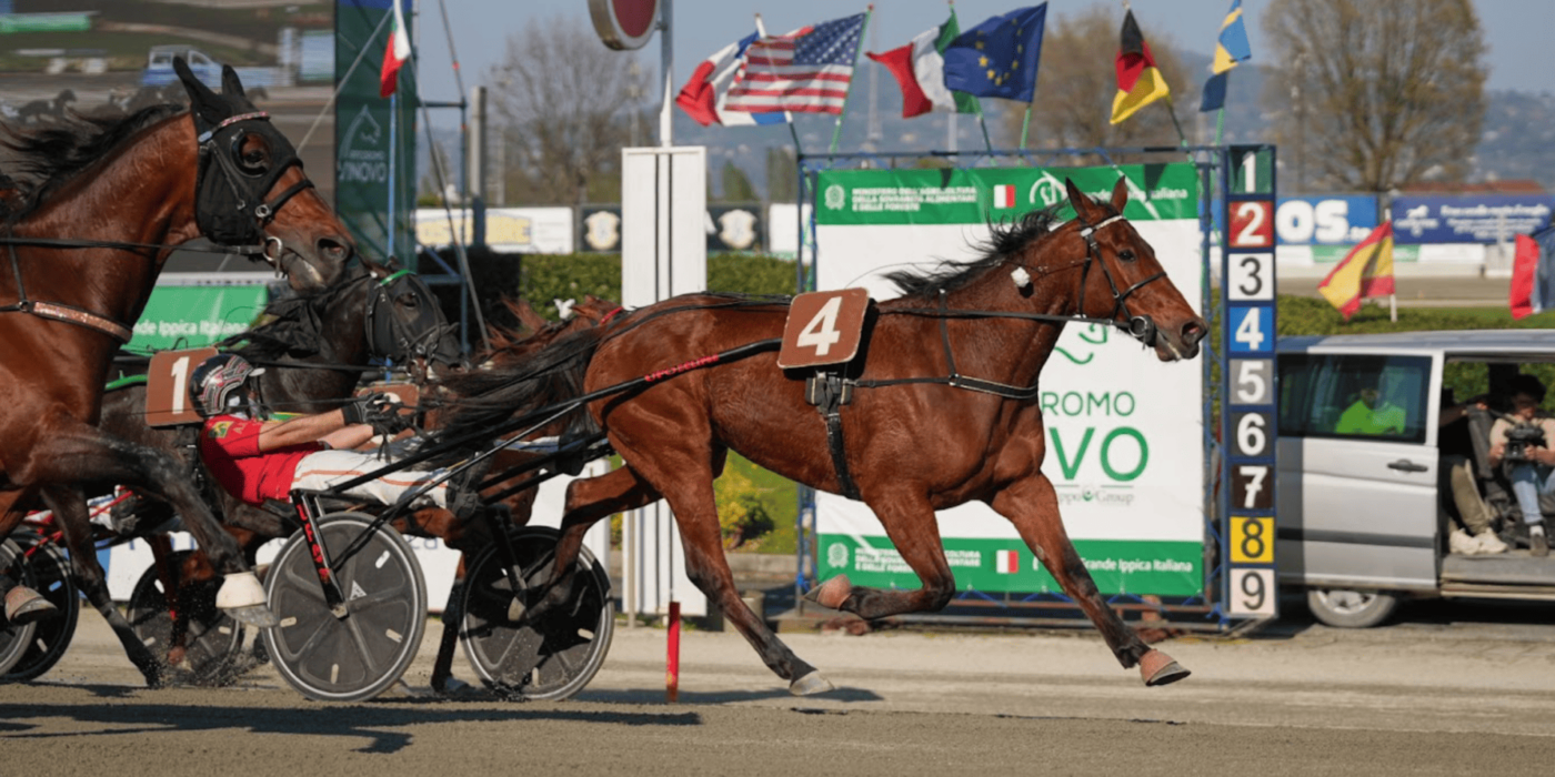 Dany Capar och Always Ek klättrar i UET Elite Circuit