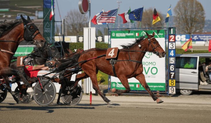 Dany Capar och Always Ek klättrar i UET Elite Circuit