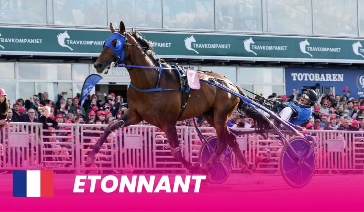 Etonnant klar för Elitloppet 2025