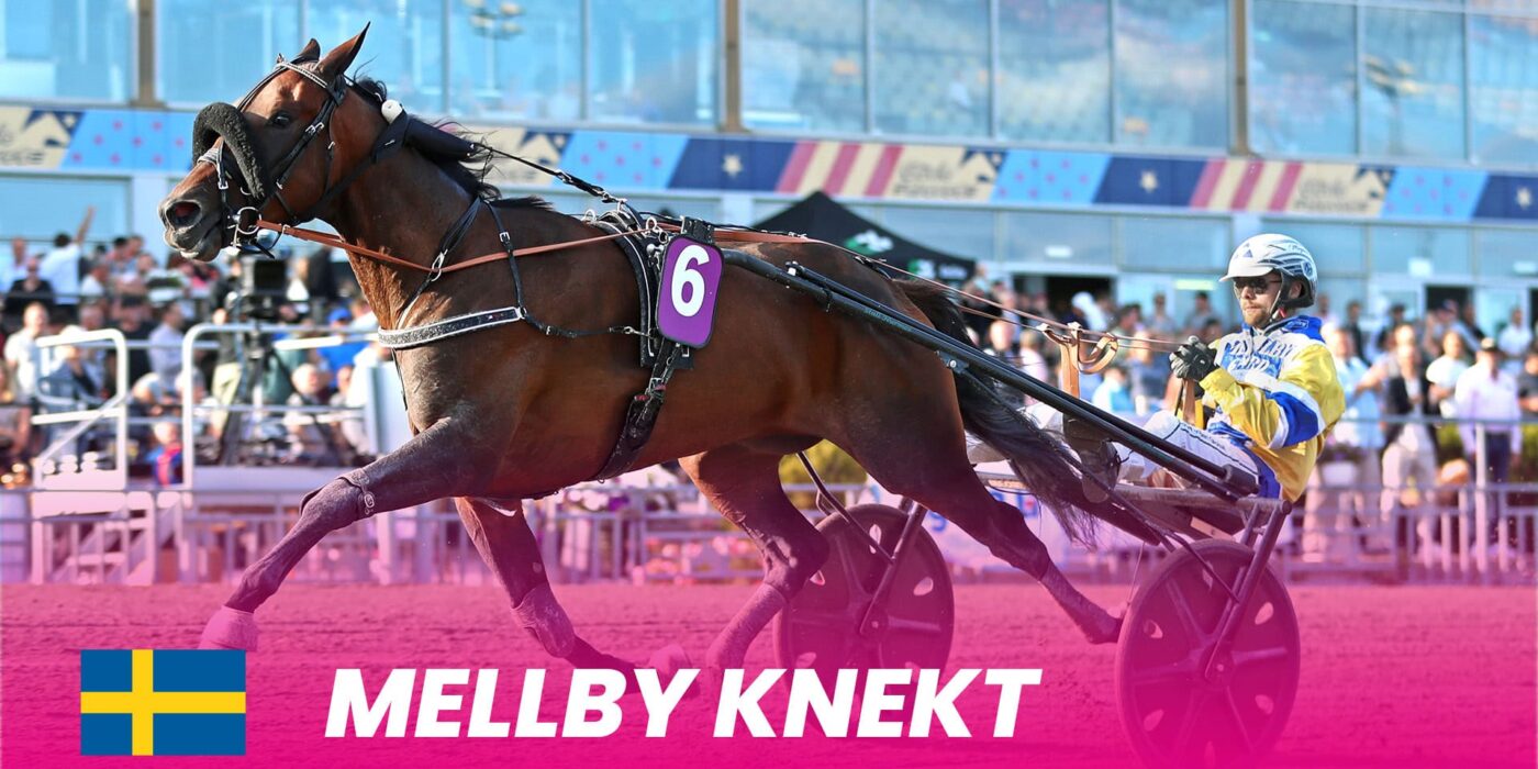 Mellby Knekt tar plats bakom startbilen i Elitloppet 2025