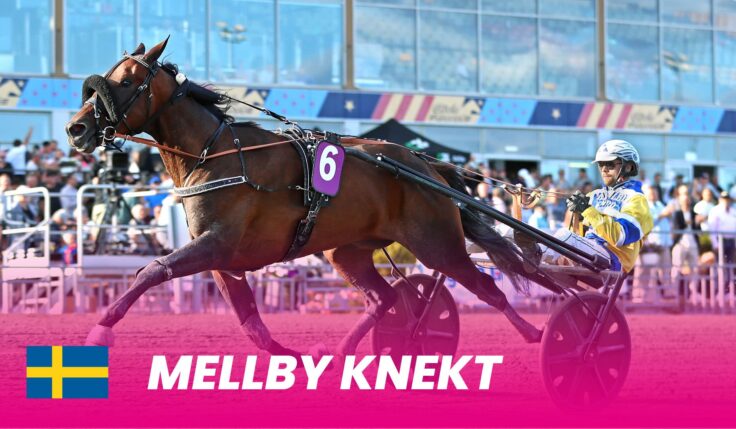 Mellby Knekt tar plats bakom startbilen i Elitloppet 2025
