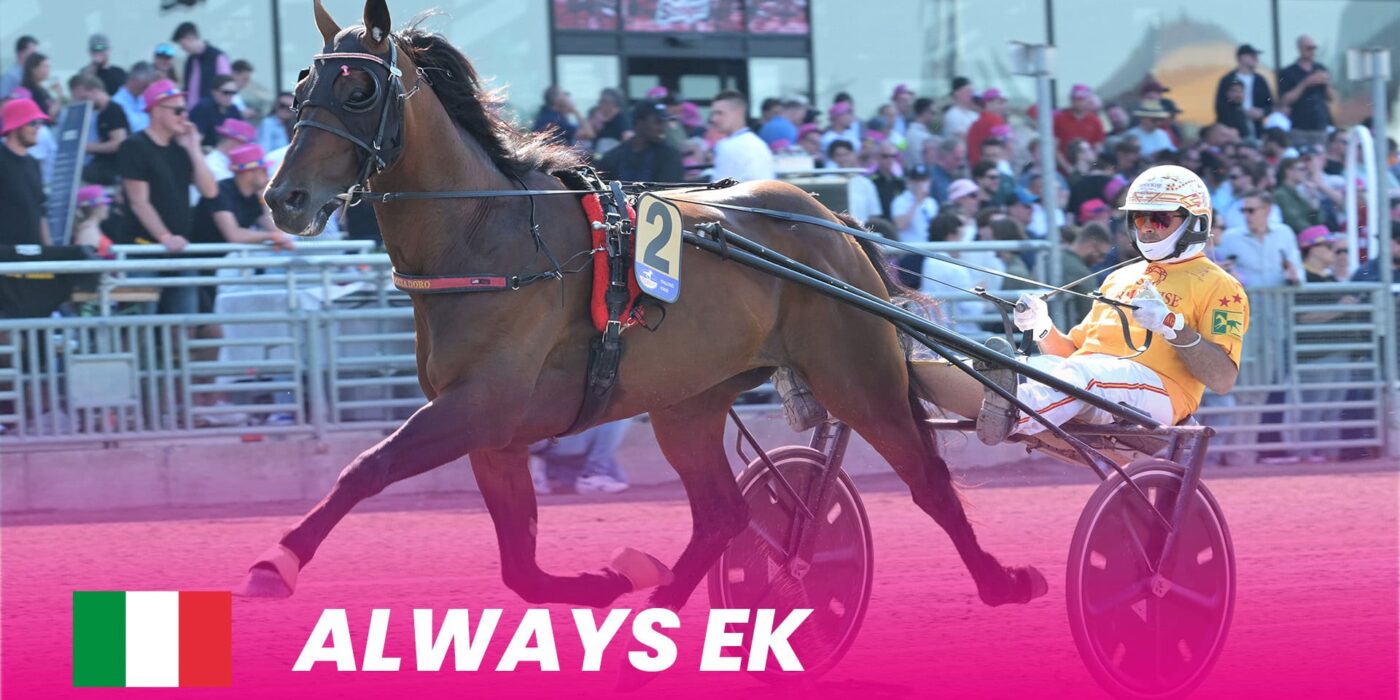 Always Ek försvarar Italiens färger i Elitloppet 2025