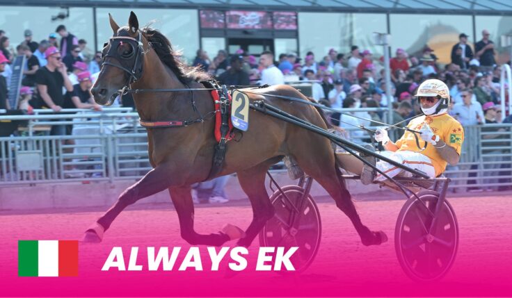Always Ek försvarar Italiens färger i Elitloppet 2025