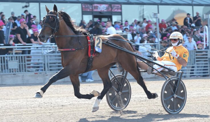 Elitloppet – Nästa etapp i UET Elite Circuit 2025