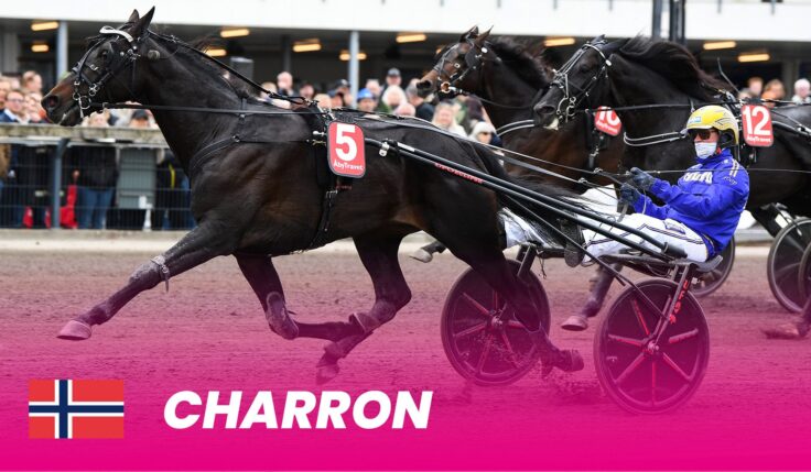Charron är Norges hopp i Elitloppet 2025