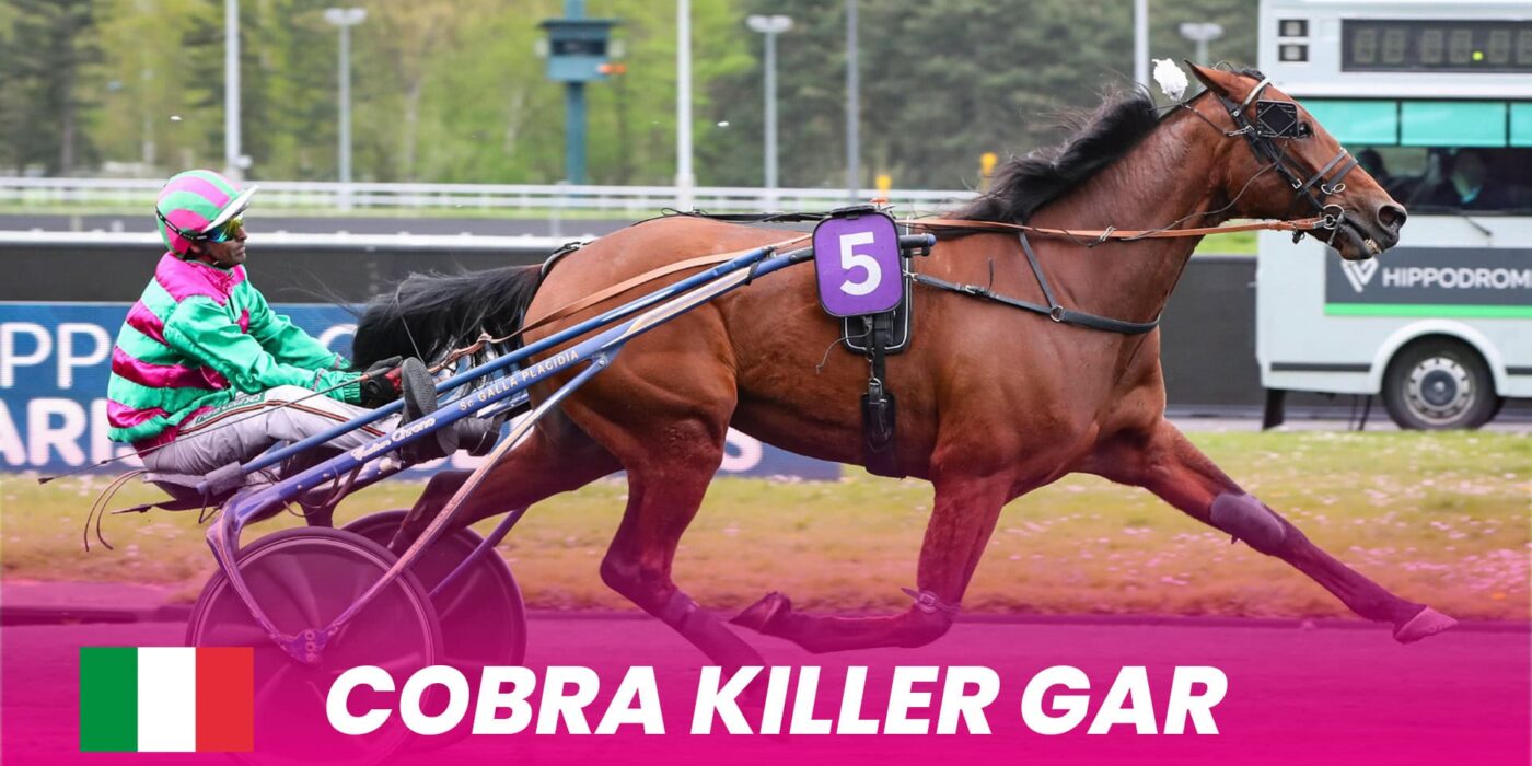 Cobra Killer Gar debuterar i Elitloppet 2025