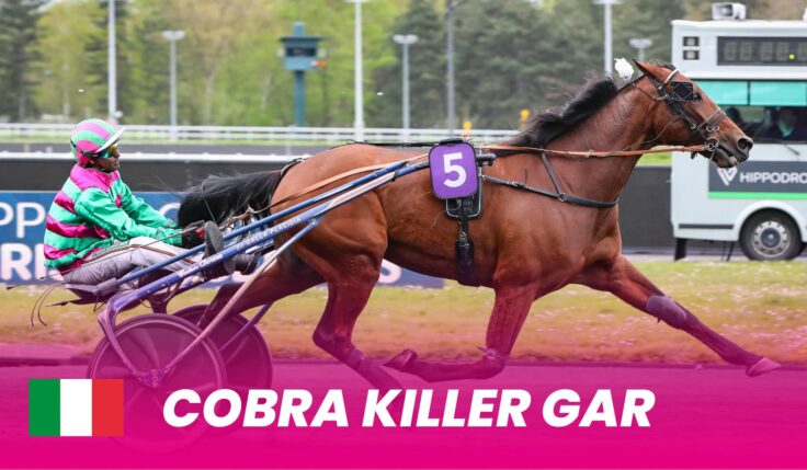 Cobra Killer Gar debuterar i Elitloppet 2025